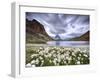 Cotton grass on lake Riffelsee while a thunderstorm hits the Matterhorn Zermatt Canton of Valais Sw-ClickAlps-Framed Photographic Print