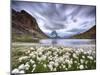 Cotton grass on lake Riffelsee while a thunderstorm hits the Matterhorn Zermatt Canton of Valais Sw-ClickAlps-Mounted Photographic Print