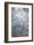 Cotton Hill Black and White-null-Framed Photographic Print