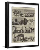 Cotton in Egypt-null-Framed Giclee Print
