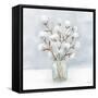 Cotton Jar-Patti Bishop-Framed Stretched Canvas