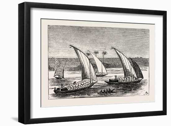 Cotton on its Way Down the Nile, Egypt, 1873-null-Framed Giclee Print