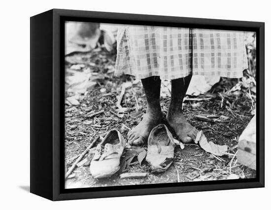 Cotton Picker, 1937-Dorothea Lange-Framed Stretched Canvas