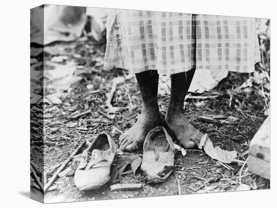 Cotton Picker, 1937-Dorothea Lange-Stretched Canvas