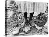 Cotton Picker, 1937-Dorothea Lange-Stretched Canvas