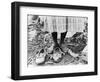 Cotton Picker, 1937-Dorothea Lange-Framed Premium Photographic Print