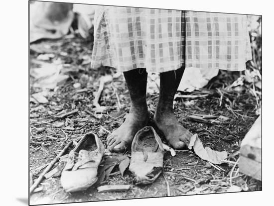 Cotton Picker, 1937-Dorothea Lange-Mounted Photographic Print