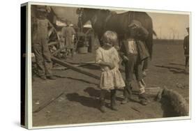 Cotton Picker Aged 4 Who Picks 15 Pounds a Day Regularly and 7 Year Old Who Picks 50. They Move fro-Lewis Wickes Hine-Stretched Canvas