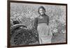 Cotton Picker-Dorothea Lange-Framed Art Print