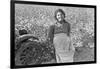 Cotton Picker-Dorothea Lange-Framed Art Print