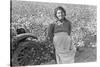 Cotton Picker-Dorothea Lange-Stretched Canvas