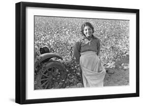 Cotton Picker-Dorothea Lange-Framed Art Print