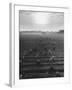 Cotton Pickers Working in the Fields-null-Framed Photographic Print
