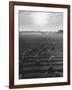 Cotton Pickers Working in the Fields-null-Framed Photographic Print