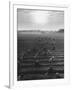 Cotton Pickers Working in the Fields-null-Framed Photographic Print