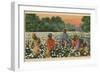 Cotton Picking, Augusta, Georgia, 1943-null-Framed Giclee Print