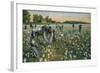 Cotton Picking, Augusta, Georgia, C1900-null-Framed Giclee Print