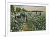 Cotton Picking, Augusta, Georgia, C1900-null-Framed Giclee Print