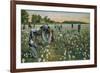 Cotton Picking, Augusta, Georgia, C1900-null-Framed Giclee Print