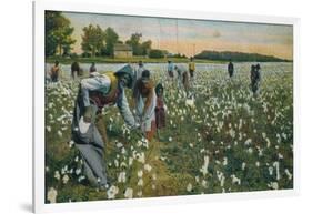 Cotton Picking, Augusta, Georgia, C1900-null-Framed Giclee Print