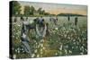 Cotton Picking, Augusta, Georgia, C1900-null-Stretched Canvas