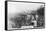 Cotton Picking, Australia, 1928-null-Framed Stretched Canvas