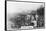 Cotton Picking, Australia, 1928-null-Framed Stretched Canvas