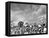 Cotton Picking Machine Doing the Work of 25 Field Hands on Large Farm in the South-Margaret Bourke-White-Framed Stretched Canvas