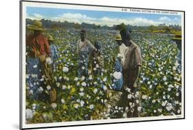 Cotton Plantation-null-Mounted Art Print