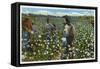 Cotton Plantation-null-Framed Stretched Canvas