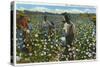 Cotton Plantation-null-Stretched Canvas