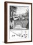 Brown Frame