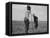 Cotton sharecroppers Georgia, 1937-Dorothea Lange-Framed Stretched Canvas