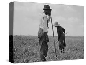 Cotton sharecroppers Georgia, 1937-Dorothea Lange-Stretched Canvas