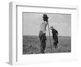 Cotton sharecroppers Georgia, 1937-Dorothea Lange-Framed Photographic Print