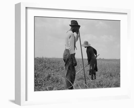 Cotton sharecroppers Georgia, 1937-Dorothea Lange-Framed Photographic Print