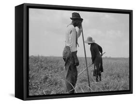 Cotton sharecroppers Georgia, 1937-Dorothea Lange-Framed Stretched Canvas