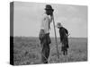 Cotton sharecroppers Georgia, 1937-Dorothea Lange-Stretched Canvas