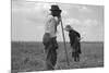 Cotton Sharecroppers-Dorothea Lange-Mounted Art Print