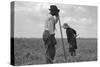 Cotton Sharecroppers-Dorothea Lange-Stretched Canvas