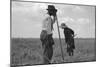 Cotton Sharecroppers-Dorothea Lange-Mounted Art Print