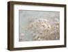 Cotton Softly Over Water 2-null-Framed Photographic Print