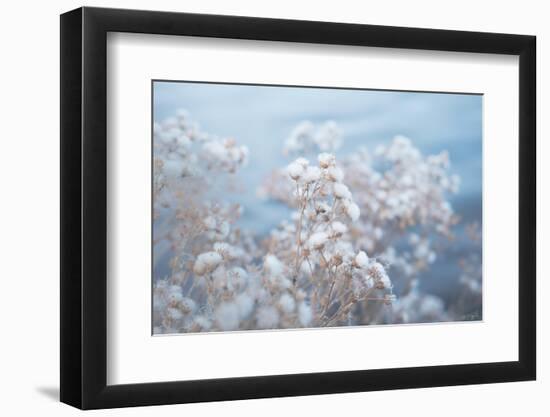 Cotton Softly Over Water-null-Framed Photographic Print
