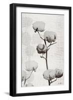 Cotton Stem 1-Denise Brown-Framed Art Print