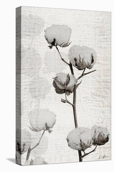 Cotton Stem 1-Denise Brown-Stretched Canvas