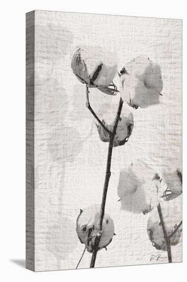 Cotton Stem 2-Denise Brown-Stretched Canvas