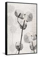 Cotton Stem 2-Denise Brown-Framed Stretched Canvas