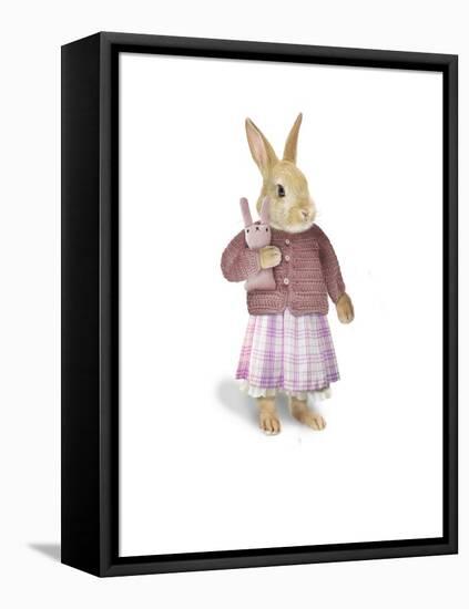 Cotton Tail-J Hovenstine Studios-Framed Stretched Canvas