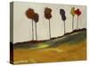 Cotton Trees-Bradford Brenner-Stretched Canvas