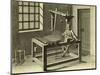 Cotton Weaver-null-Mounted Giclee Print